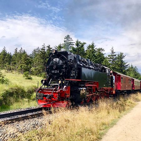Fewo Fuchsbau Mit Dampfdusche #Kamin#Innenstadtnaehe#Netflix Von Harztraveler 바트하르추부르크 외부 사진