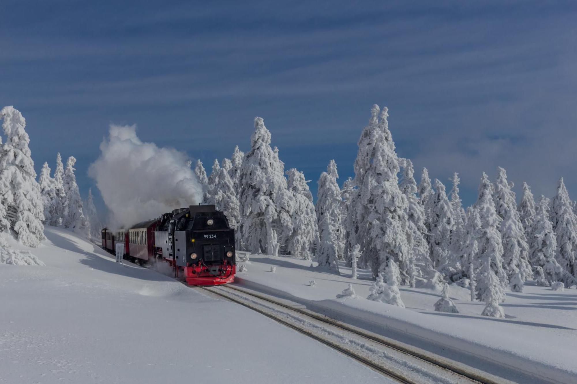 Fewo Fuchsbau Mit Dampfdusche #Kamin#Innenstadtnaehe#Netflix Von Harztraveler 바트하르추부르크 외부 사진